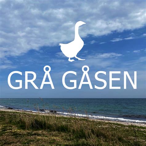 Portal grå gåsen